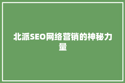北派SEO网络营销的神秘力量