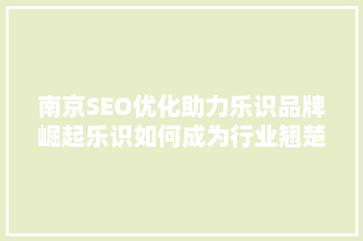 南京SEO优化助力乐识品牌崛起乐识如何成为行业翘楚