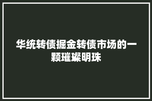 华统转债掘金转债市场的一颗璀璨明珠