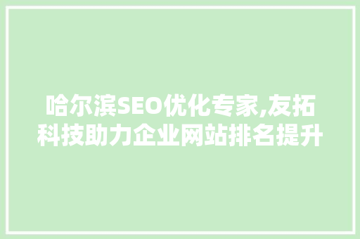 哈尔滨SEO优化专家,友拓科技助力企业网站排名提升