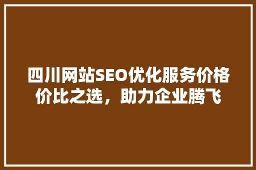 四川网站SEO优化服务价格价比之选，助力企业腾飞