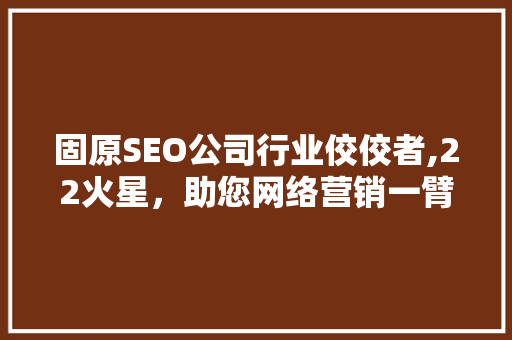 固原SEO公司行业佼佼者,22火星，助您网络营销一臂之力