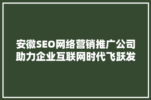 安徽SEO网络营销推广公司助力企业互联网时代飞跃发展