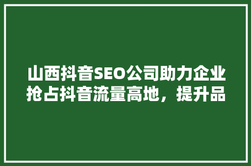 山西抖音SEO公司助力企业抢占抖音流量高地，提升品牌影响力