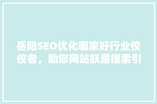 岳阳SEO优化哪家好行业佼佼者，助您网站跃居搜索引擎前列