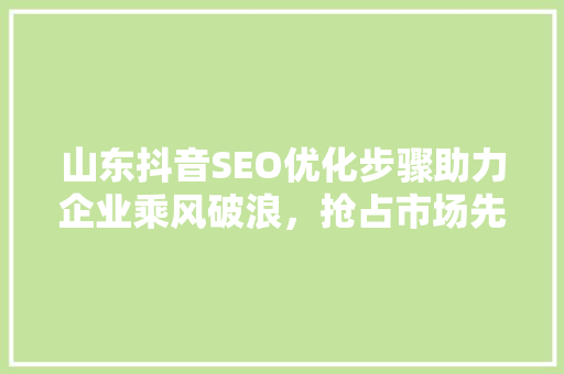 山东抖音SEO优化步骤助力企业乘风破浪，抢占市场先机