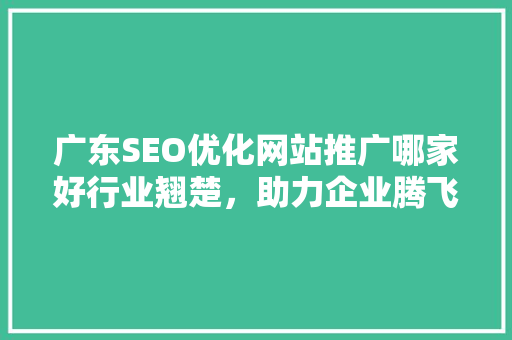 广东SEO优化网站推广哪家好行业翘楚，助力企业腾飞