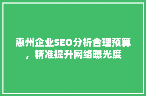 惠州企业SEO分析合理预算，精准提升网络曝光度