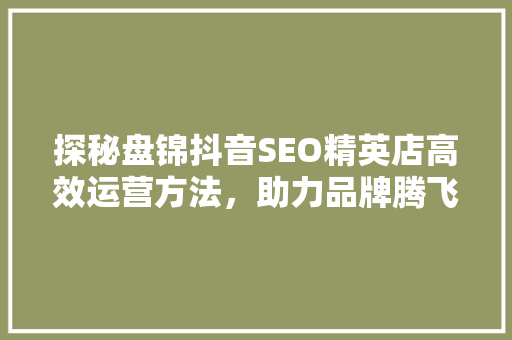 探秘盘锦抖音SEO精英店高效运营方法，助力品牌腾飞