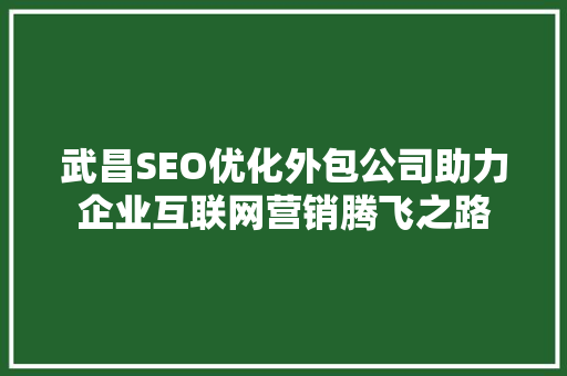 武昌SEO优化外包公司助力企业互联网营销腾飞之路  第1张