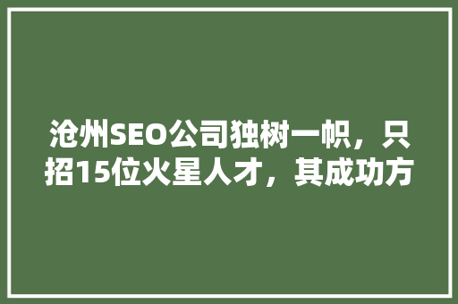 沧州SEO公司独树一帜，只招15位火星人才，其成功方法