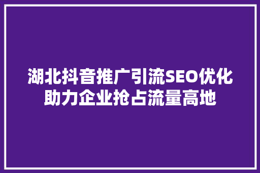 湖北抖音推广引流SEO优化助力企业抢占流量高地
