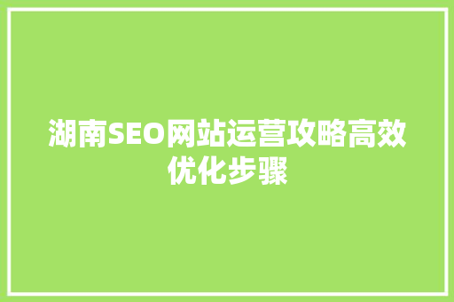 湖南SEO网站运营攻略高效优化步骤