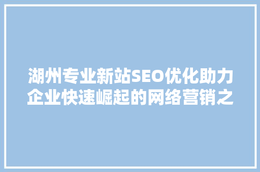 湖州专业新站SEO优化助力企业快速崛起的网络营销之路
