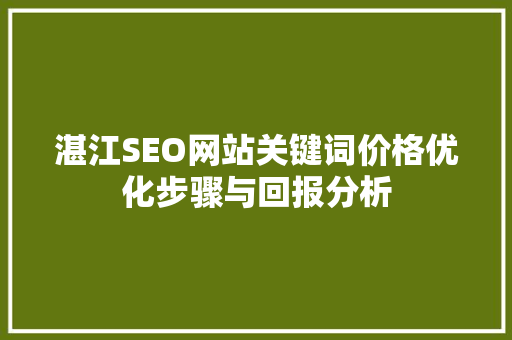 湛江SEO网站关键词价格优化步骤与回报分析
