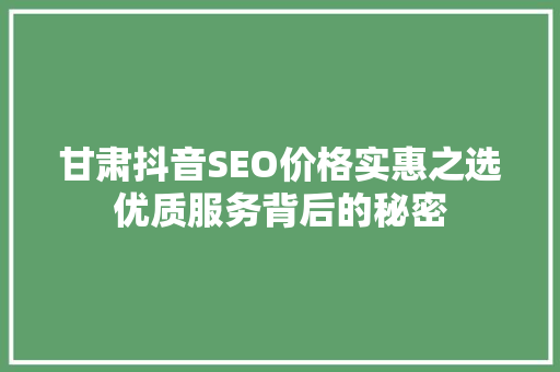 甘肃抖音SEO价格实惠之选优质服务背后的秘密