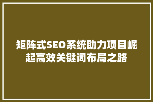 矩阵式SEO系统助力项目崛起高效关键词布局之路