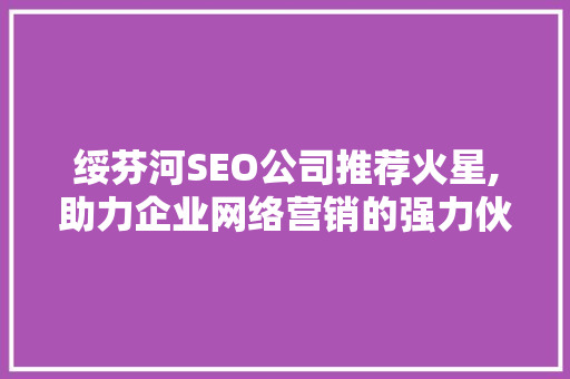 绥芬河SEO公司推荐火星,助力企业网络营销的强力伙伴