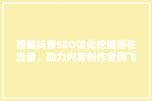 西藏抖音SEO优化挖掘潜在流量，助力内容创作者腾飞