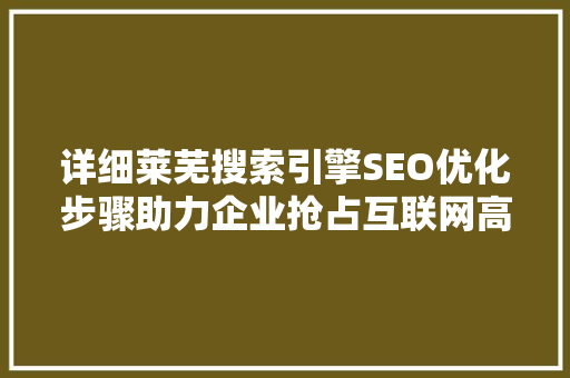 详细莱芜搜索引擎SEO优化步骤助力企业抢占互联网高地