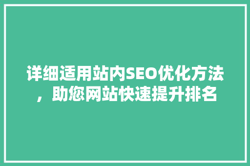 详细适用站内SEO优化方法，助您网站快速提升排名