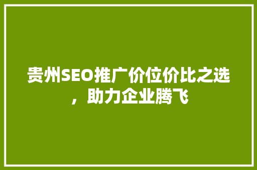 贵州SEO推广价位价比之选，助力企业腾飞