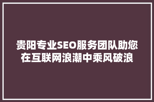 贵阳专业SEO服务团队助您在互联网浪潮中乘风破浪