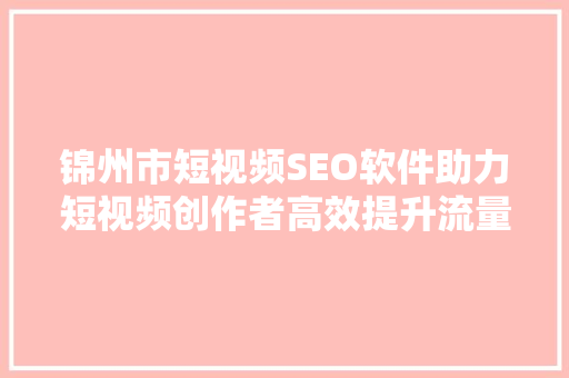 锦州市短视频SEO软件助力短视频创作者高效提升流量与曝光