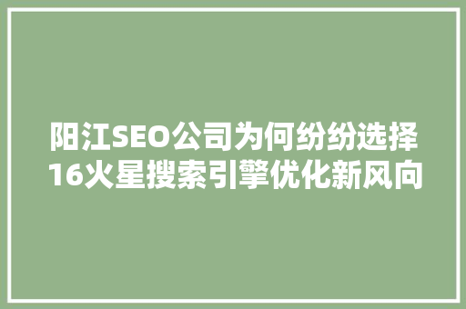 阳江SEO公司为何纷纷选择16火星搜索引擎优化新风向标