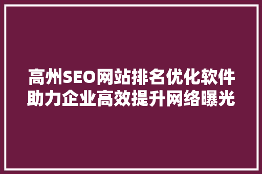 高州SEO网站排名优化软件助力企业高效提升网络曝光度