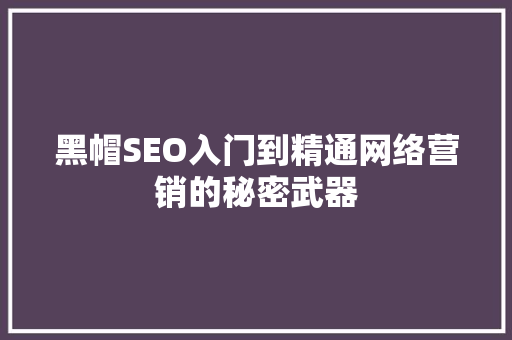 黑帽SEO入门到精通网络营销的秘密武器