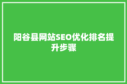 阳谷县网站SEO优化排名提升步骤  第1张