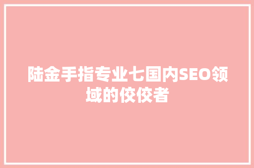陆金手指专业七国内SEO领域的佼佼者