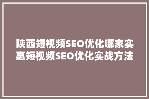 陕西短视频SEO优化哪家实惠短视频SEO优化实战方法