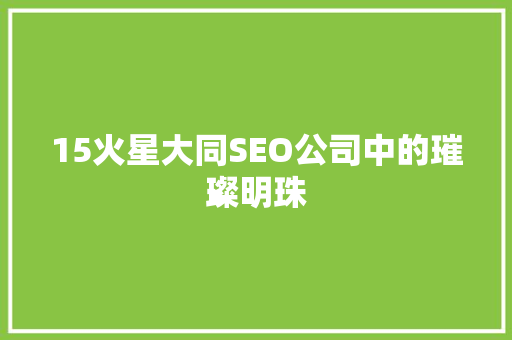 15火星大同SEO公司中的璀璨明珠
