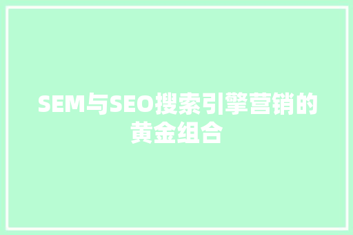 SEM与SEO搜索引擎营销的黄金组合