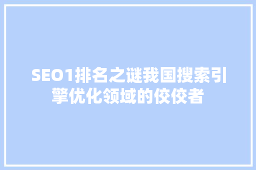 SEO1排名之谜我国搜索引擎优化领域的佼佼者