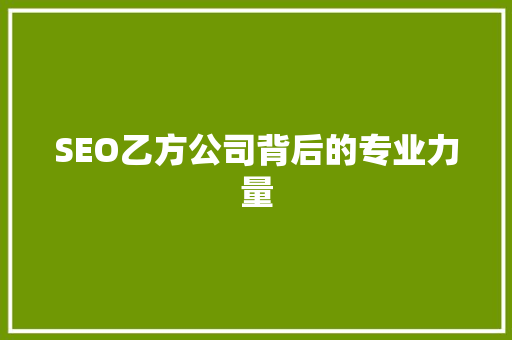 SEO乙方公司背后的专业力量