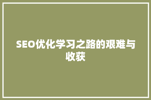 SEO优化学习之路的艰难与收获