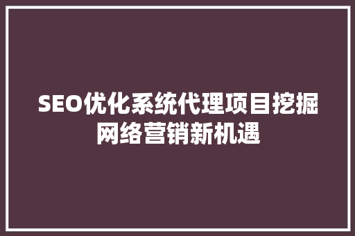 SEO优化系统代理项目挖掘网络营销新机遇
