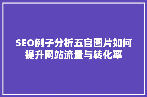 SEO例子分析五官图片如何提升网站流量与转化率