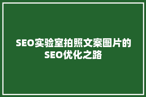 SEO实验室拍照文案图片的SEO优化之路