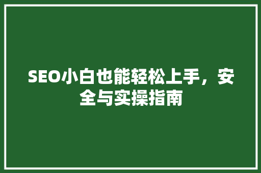 SEO小白也能轻松上手，安全与实操指南