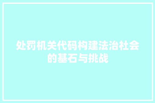 处罚机关代码构建法治社会的基石与挑战