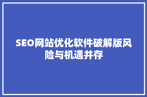 SEO网站优化软件破解版风险与机遇并存