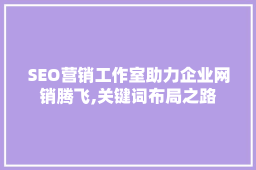 SEO营销工作室助力企业网销腾飞,关键词布局之路