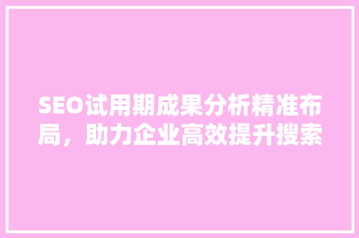SEO试用期成果分析精准布局，助力企业高效提升搜索引擎排名