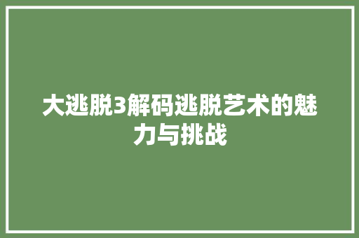 大逃脱3解码逃脱艺术的魅力与挑战