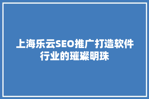 上海乐云SEO推广打造软件行业的璀璨明珠