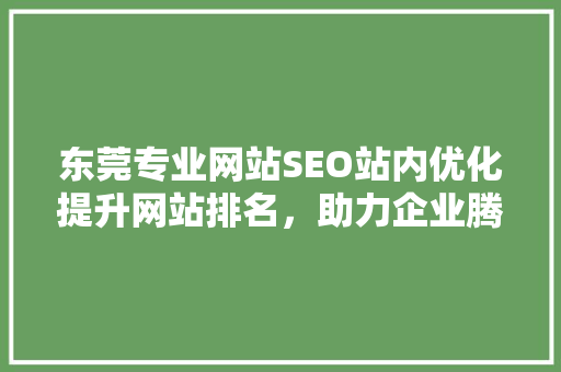 东莞专业网站SEO站内优化提升网站排名，助力企业腾飞